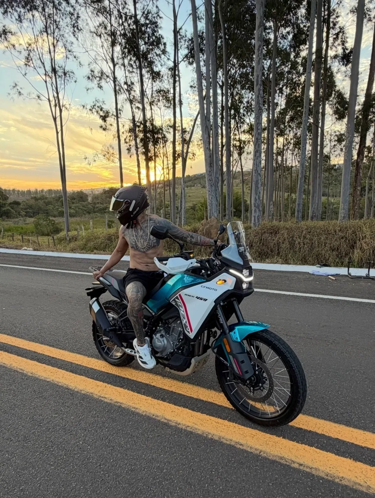 CFMOTO IBEX 450, foto 3